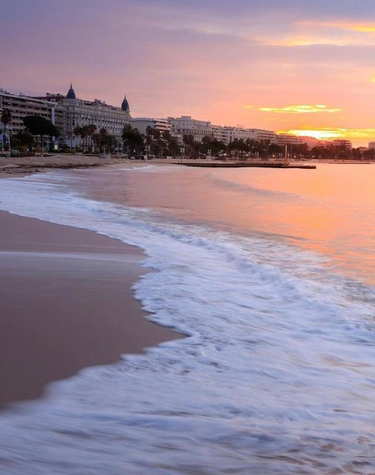 Superbe Studio Proche Palais Et Plages A Pieds Cannes Exteriér fotografie